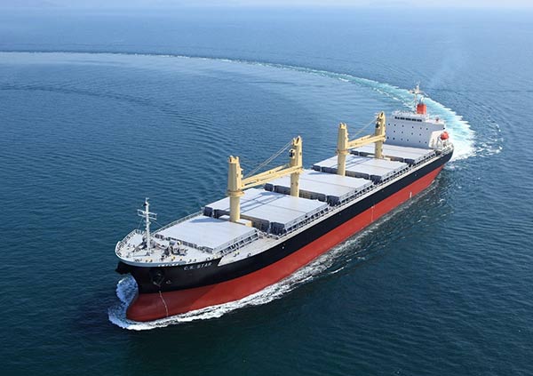 Bulk Carrier